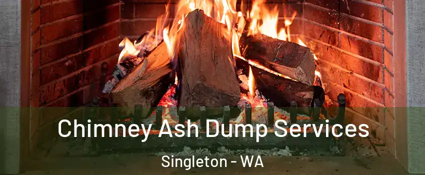  Chimney Ash Dump Services Singleton - WA