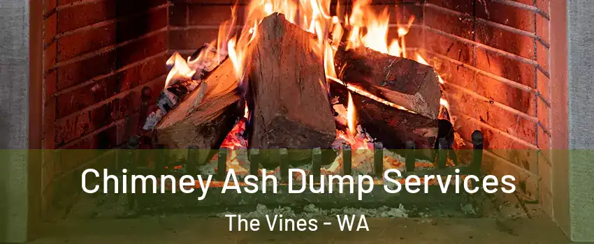 Chimney Ash Dump Services The Vines - WA
