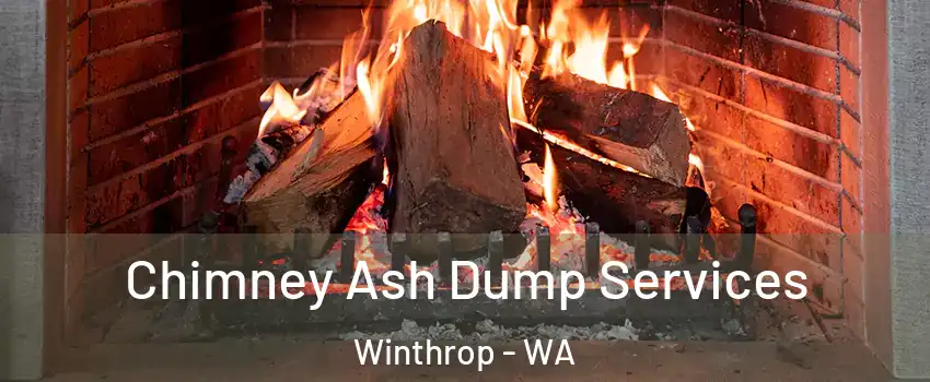 Chimney Ash Dump Services Winthrop - WA