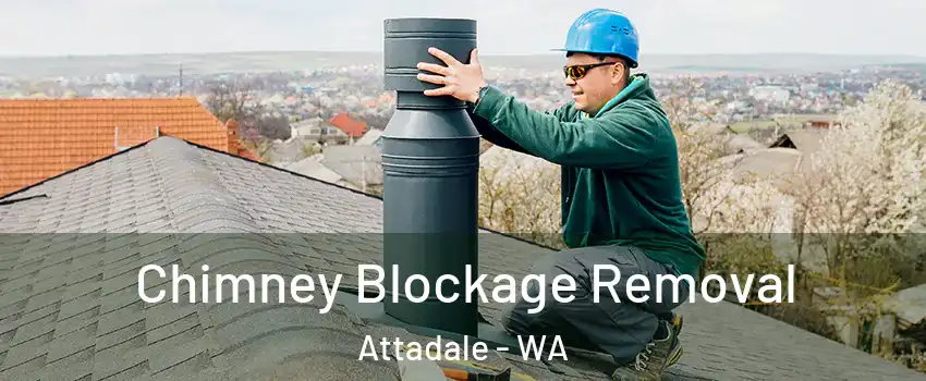 Chimney Blockage Removal Attadale - WA