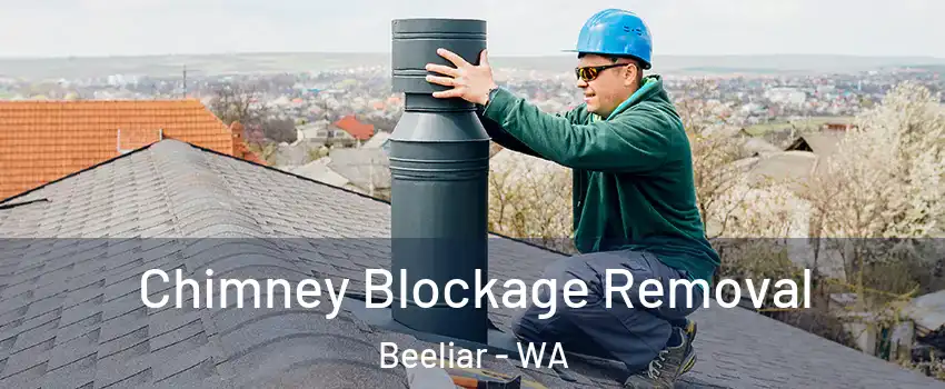 Chimney Blockage Removal Beeliar - WA