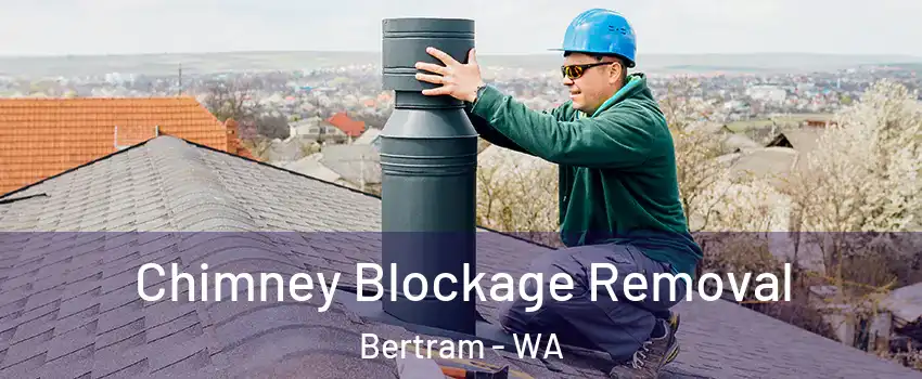 Chimney Blockage Removal Bertram - WA
