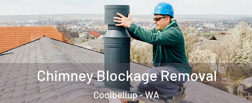 Chimney Blockage Removal Coolbellup - WA