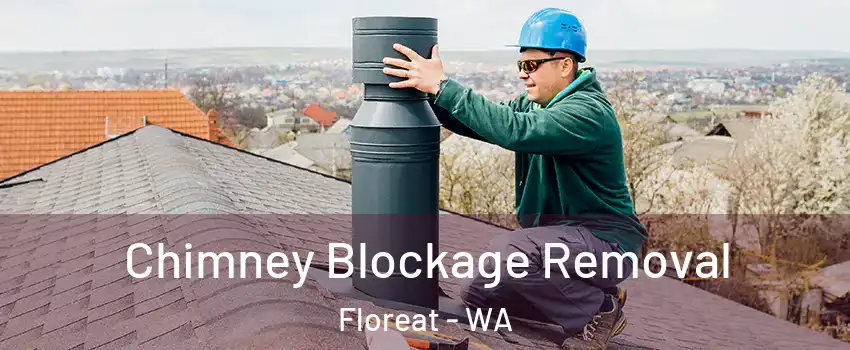 Chimney Blockage Removal Floreat - WA