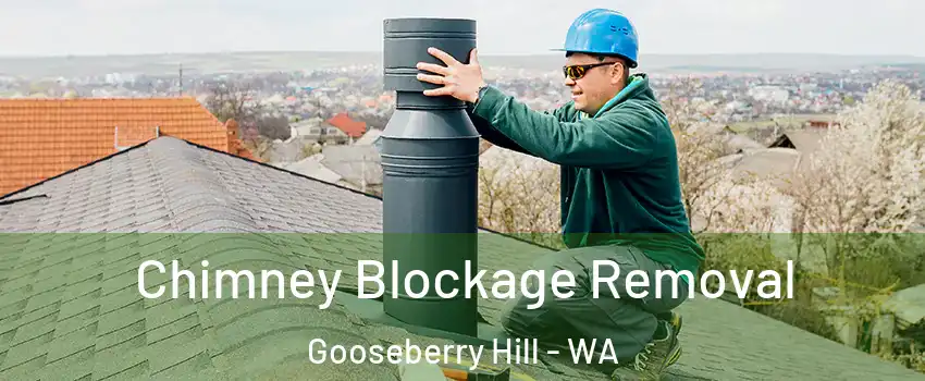 Chimney Blockage Removal Gooseberry Hill - WA