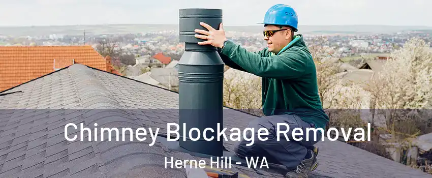 Chimney Blockage Removal Herne Hill - WA