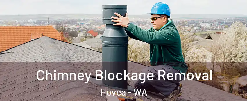 Chimney Blockage Removal Hovea - WA