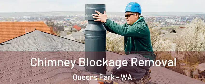 Chimney Blockage Removal Queens Park - WA