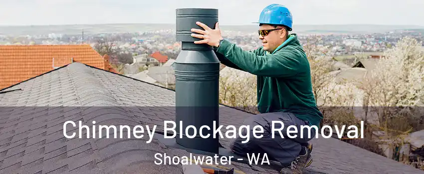 Chimney Blockage Removal Shoalwater - WA