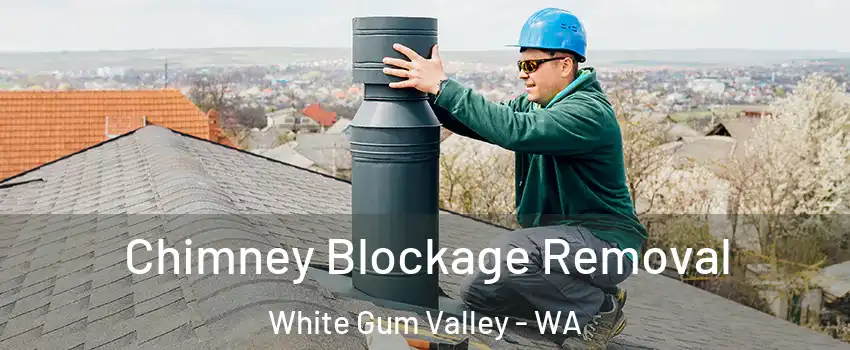 Chimney Blockage Removal White Gum Valley - WA