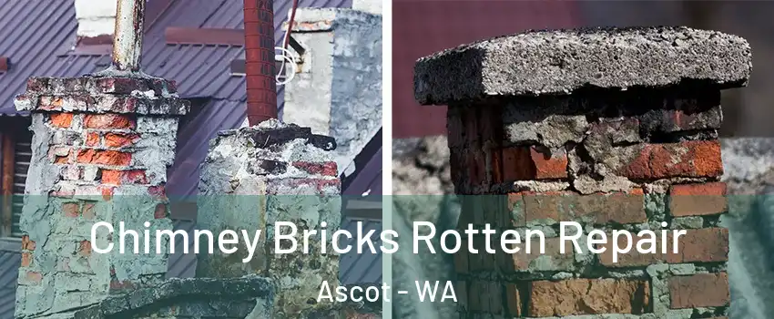  Chimney Bricks Rotten Repair Ascot - WA
