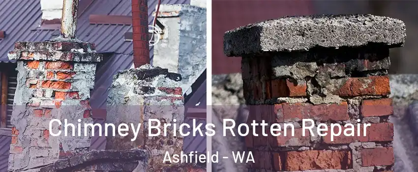 Chimney Bricks Rotten Repair Ashfield - WA
