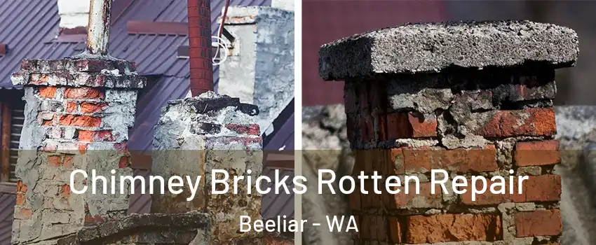 Chimney Bricks Rotten Repair Beeliar - WA
