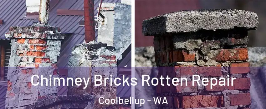 Chimney Bricks Rotten Repair Coolbellup - WA
