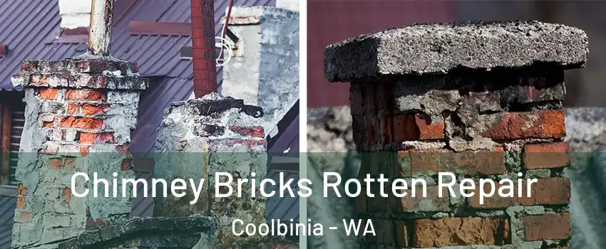Chimney Bricks Rotten Repair Coolbinia - WA