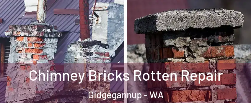 Chimney Bricks Rotten Repair Gidgegannup - WA