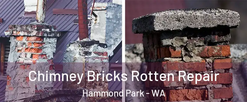 Chimney Bricks Rotten Repair Hammond Park - WA