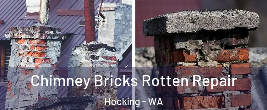 Chimney Bricks Rotten Repair Hocking - WA