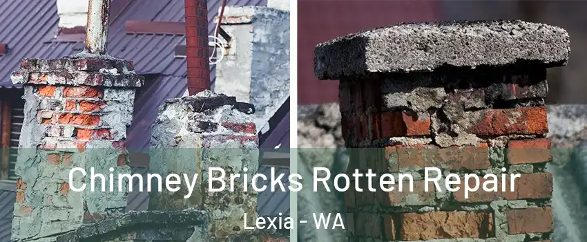 Chimney Bricks Rotten Repair Lexia - WA
