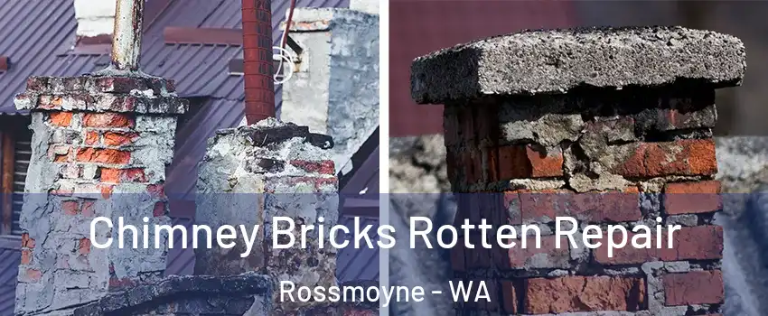 Chimney Bricks Rotten Repair Rossmoyne - WA