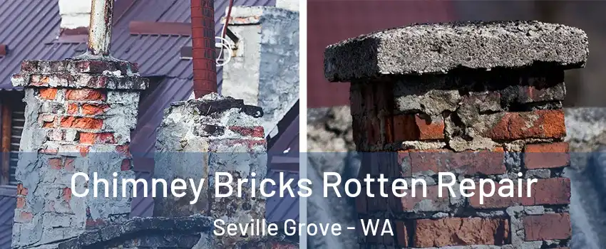 Chimney Bricks Rotten Repair Seville Grove - WA