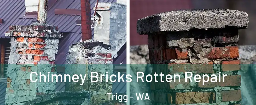 Chimney Bricks Rotten Repair Trigg - WA