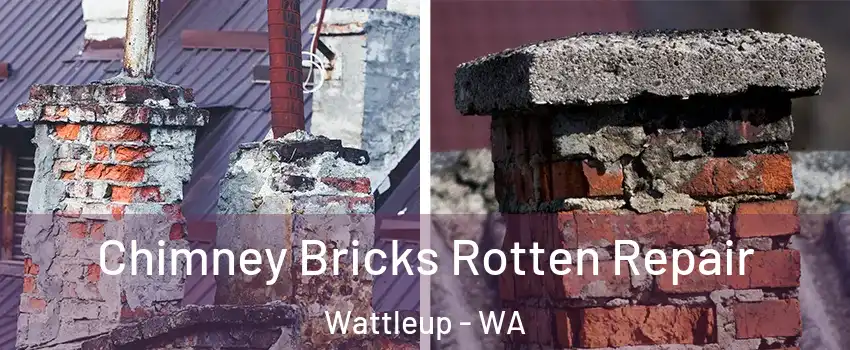  Chimney Bricks Rotten Repair Wattleup - WA