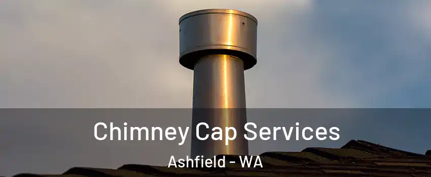 Chimney Cap Services Ashfield - WA