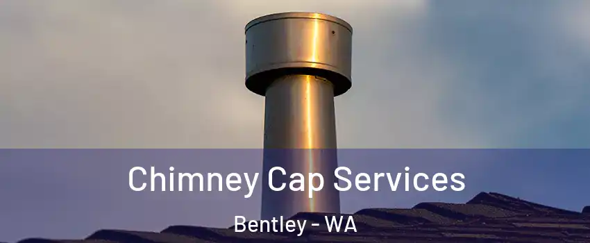 Chimney Cap Services Bentley - WA