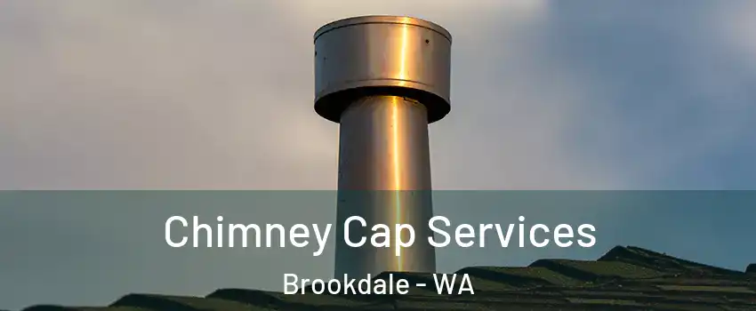 Chimney Cap Services Brookdale - WA