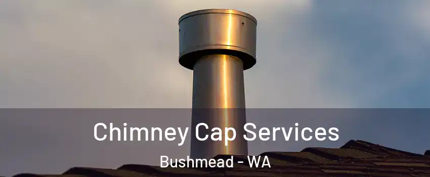 Chimney Cap Services Bushmead - WA