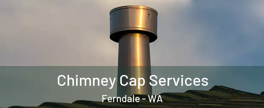 Chimney Cap Services Ferndale - WA