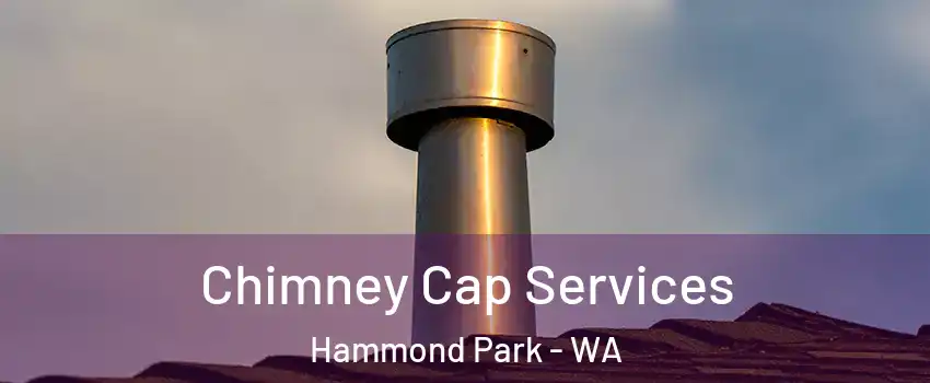 Chimney Cap Services Hammond Park - WA