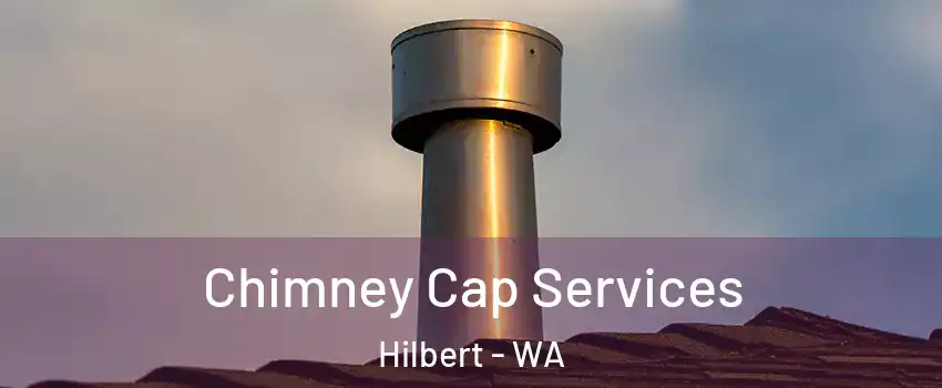 Chimney Cap Services Hilbert - WA