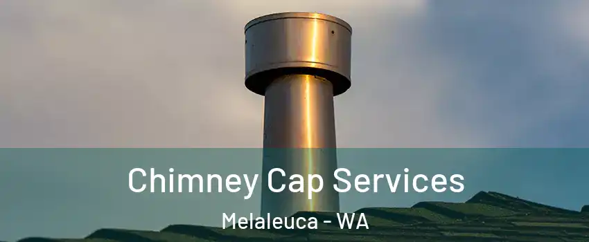 Chimney Cap Services Melaleuca - WA