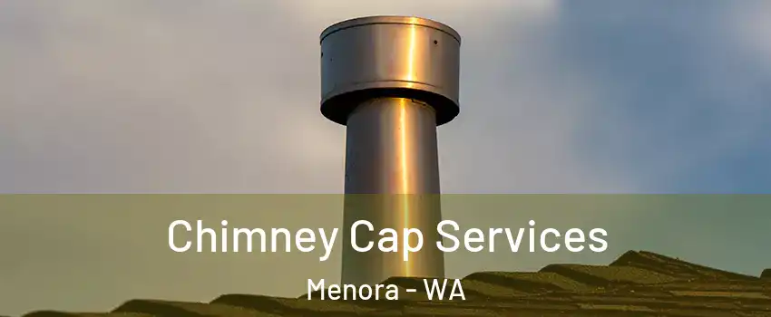 Chimney Cap Services Menora - WA