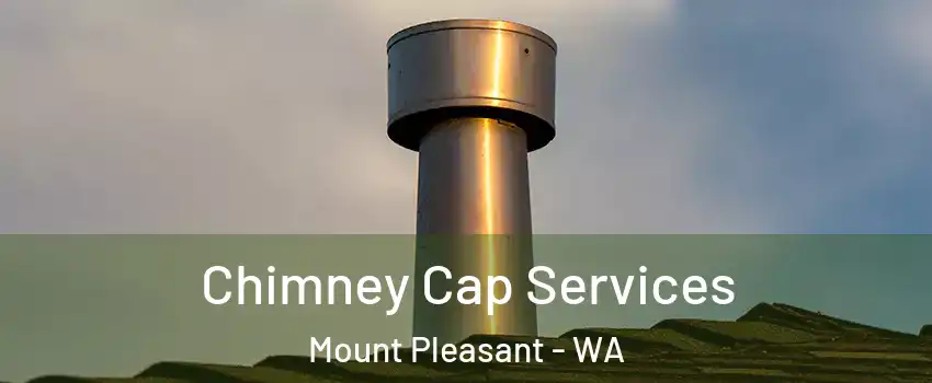  Chimney Cap Services Mount Pleasant - WA