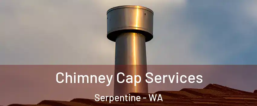 Chimney Cap Services Serpentine - WA