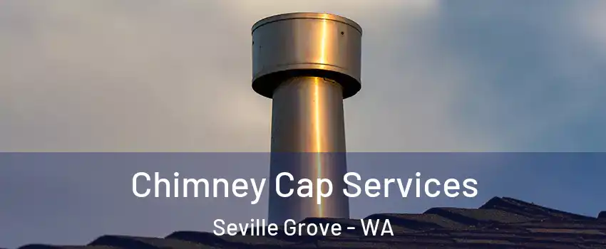Chimney Cap Services Seville Grove - WA
