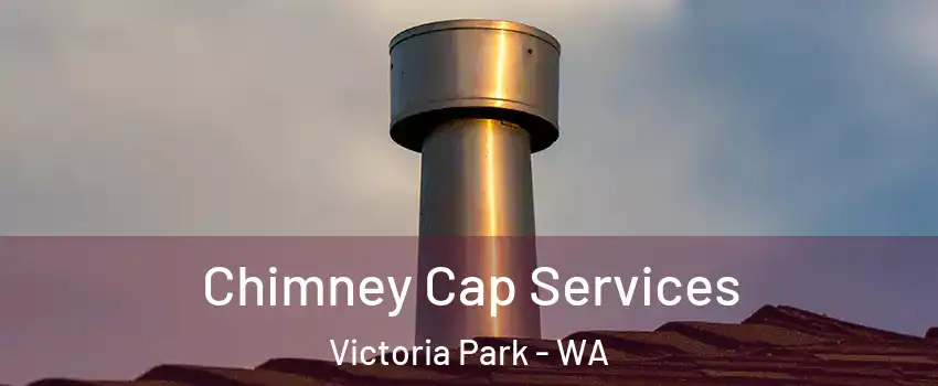 Chimney Cap Services Victoria Park - WA