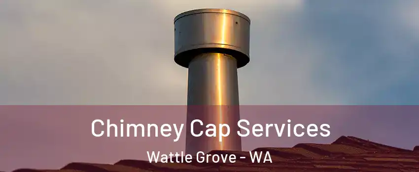 Chimney Cap Services Wattle Grove - WA