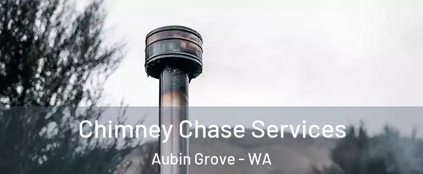 Chimney Chase Services Aubin Grove - WA