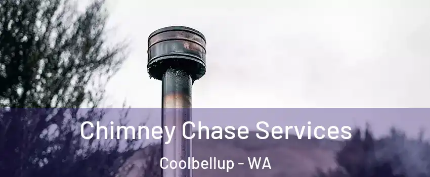 Chimney Chase Services Coolbellup - WA
