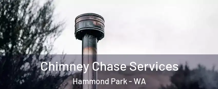 Chimney Chase Services Hammond Park - WA