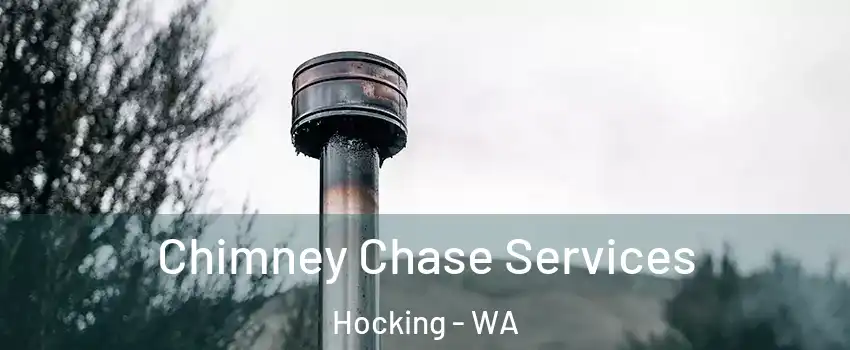 Chimney Chase Services Hocking - WA