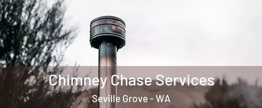 Chimney Chase Services Seville Grove - WA