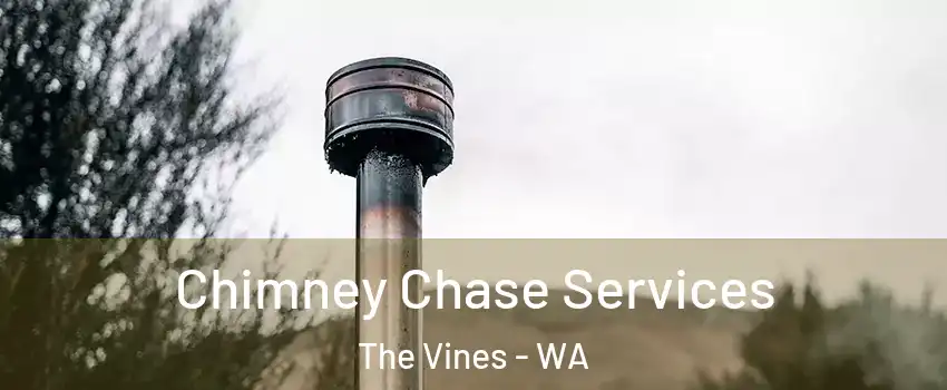 Chimney Chase Services The Vines - WA