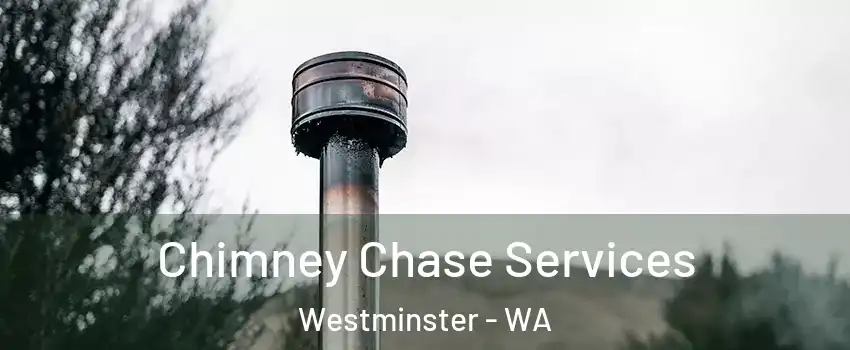 Chimney Chase Services Westminster - WA