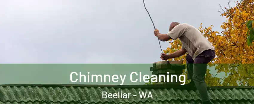 Chimney Cleaning Beeliar - WA