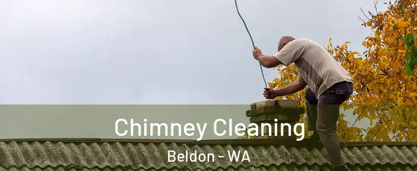 Chimney Cleaning Beldon - WA